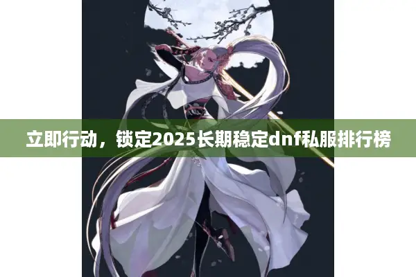 立即行动，锁定2025长期稳定dnf私服排行榜