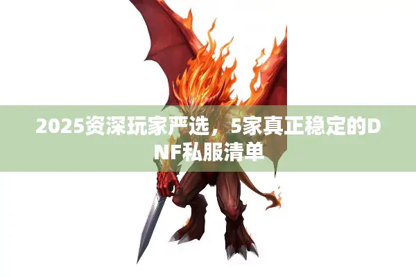 2025资深玩家严选，5家真正稳定的DNF私服清单