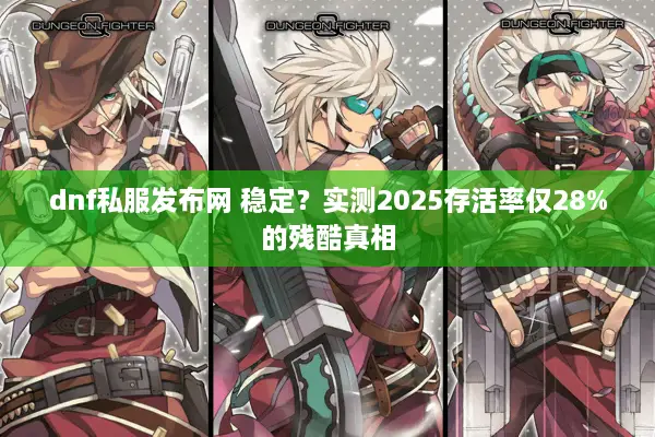 dnf私服发布网 稳定？实测2025存活率仅28%的残酷真相