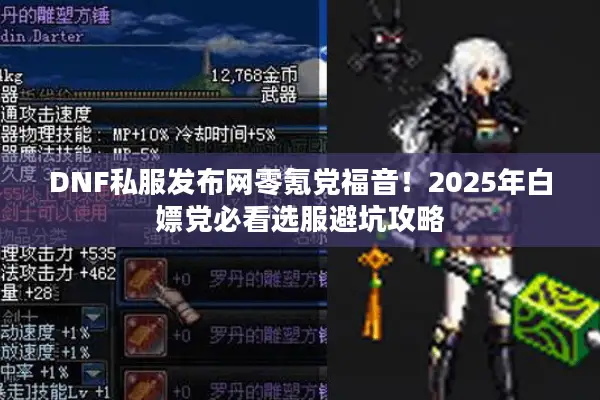 DNF私服发布网零氪党福音！2025年白嫖党必看选服避坑攻略