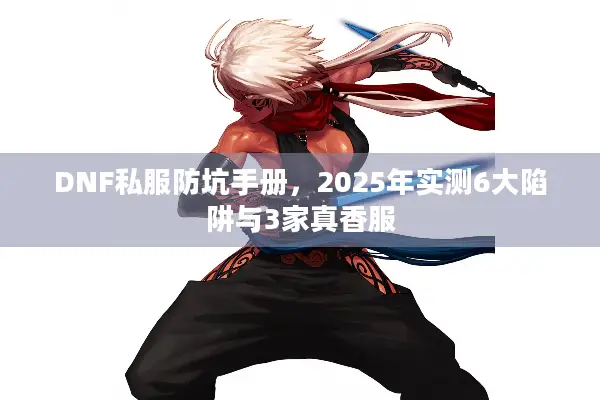 DNF私服防坑手册，2025年实测6大陷阱与3家真香服