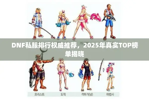 DNF私服排行权威推荐，2025年真实TOP榜单揭晓