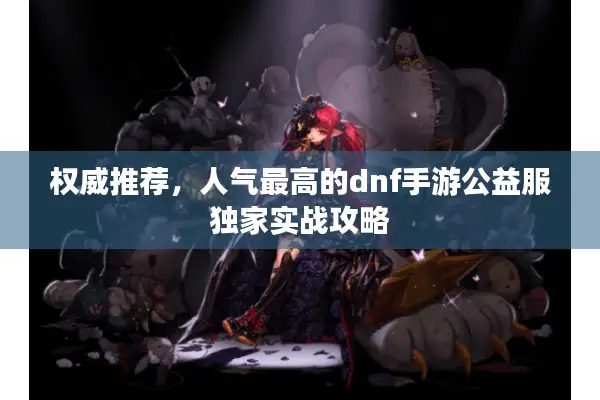 权威推荐，人气最高的dnf手游公益服独家实战攻略