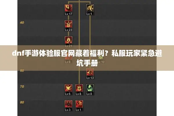 dnf手游体验服官网藏着福利？私服玩家紧急避坑手册