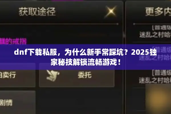 dnf下载私服，为什么新手常踩坑？2025独家秘技解锁流畅游戏！