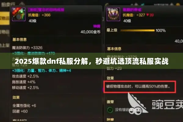 2025爆款dnf私服分解，秒避坑选顶流私服实战