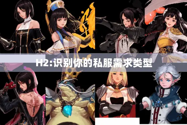 H2:识别你的私服需求类型