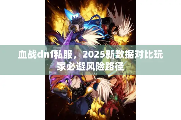 血战dnf私服，2025新数据对比玩家必避风险路径