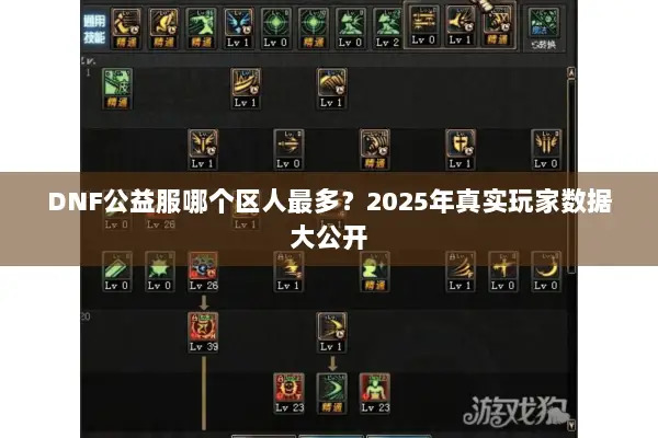 DNF公益服哪个区人最多？2025年真实玩家数据大公开