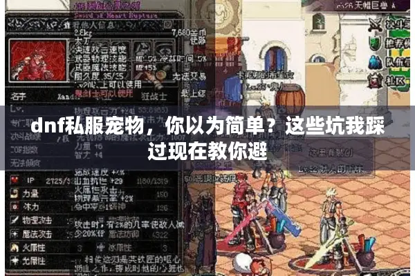 dnf私服宠物，你以为简单？这些坑我踩过现在教你避