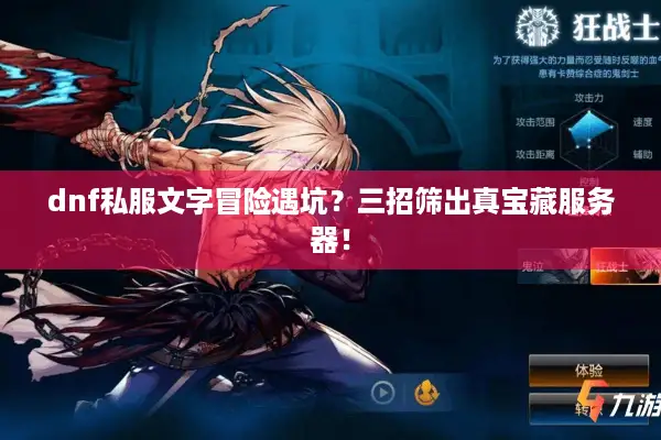 dnf私服文字冒险遇坑？三招筛出真宝藏服务器！