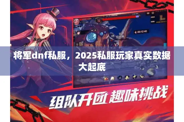 将军dnf私服，2025私服玩家真实数据大起底