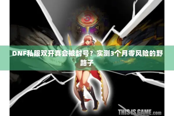 DNF私服双开真会被封号？实测3个月零风险的野路子