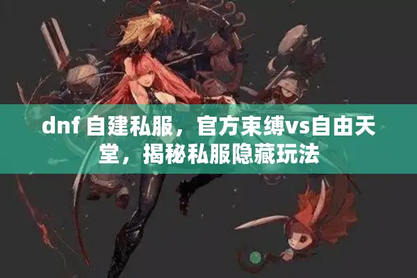 dnf 自建私服，官方束缚vs自由天堂，揭秘私服隐藏玩法