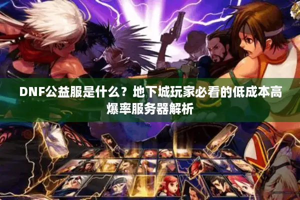 DNF公益服是什么？地下城玩家必看的低成本高爆率服务器解析