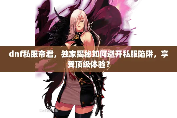 dnf私服帝君，独家揭秘如何避开私服陷阱，享受顶级体验？