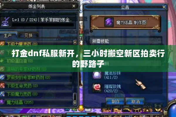 打金dnf私服新开，三小时搬空新区拍卖行的野路子