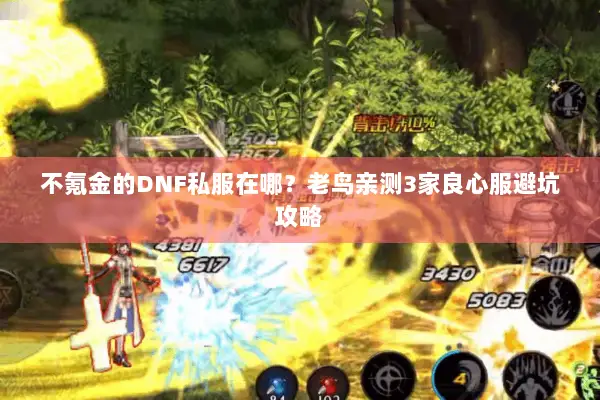 不氪金的DNF私服在哪？老鸟亲测3家良心服避坑攻略