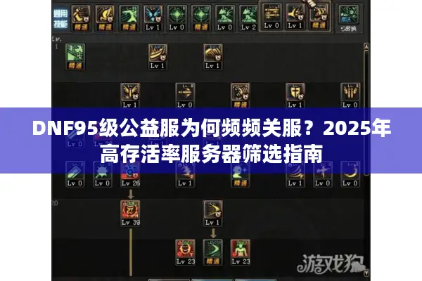 DNF95级公益服为何频频关服？2025年高存活率服务器筛选指南