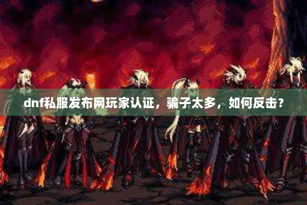 dnf私服发布网玩家认证，骗子太多，如何反击？