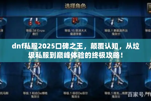 dnf私服2025口碑之王，颠覆认知，从垃圾私服到巅峰体验的终极攻略！
