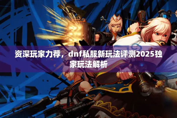 资深玩家力荐，dnf私服新玩法评测2025独家玩法解析