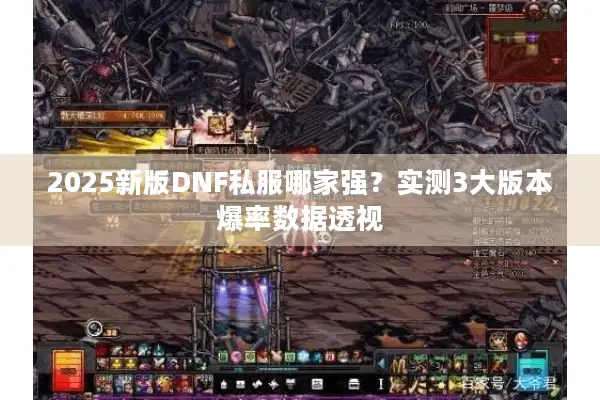 2025新版DNF私服哪家强？实测3大版本爆率数据透视
