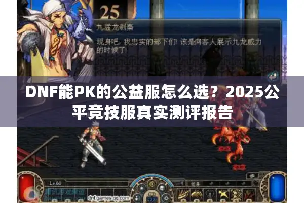 DNF能PK的公益服怎么选？2025公平竞技服真实测评报告