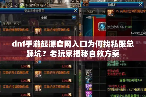 dnf手游起源官网入口为何找私服总踩坑？老玩家揭秘自救方案