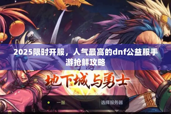 2025限时开服，人气最高的dnf公益服手游抢鲜攻略