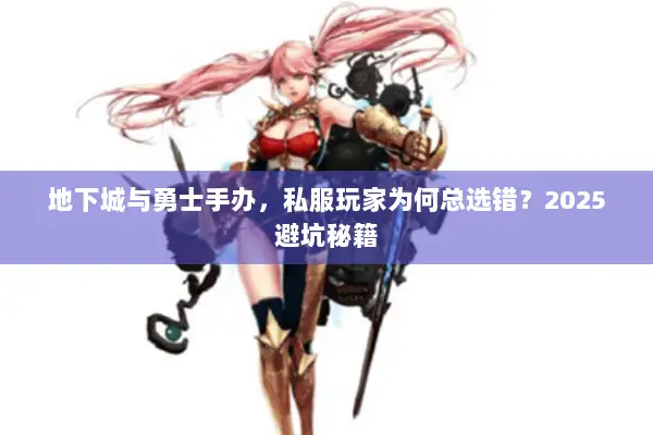 地下城与勇士手办，私服玩家为何总选错？2025避坑秘籍
