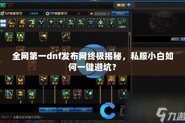 全网第一dnf发布网终极揭秘，私服小白如何一键避坑？
