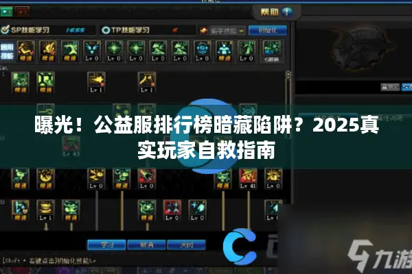 曝光！公益服排行榜暗藏陷阱？2025真实玩家自救指南
