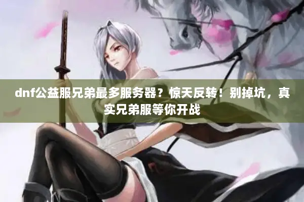 dnf公益服兄弟最多服务器？惊天反转！别掉坑，真实兄弟服等你开战