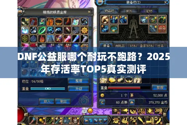 DNF公益服哪个耐玩不跑路？2025年存活率TOP5真实测评