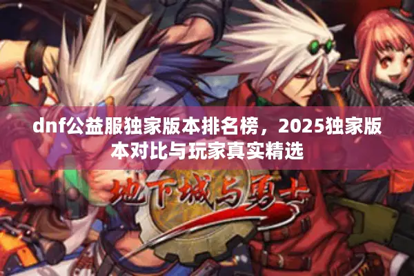 dnf公益服独家版本排名榜，2025独家版本对比与玩家真实精选