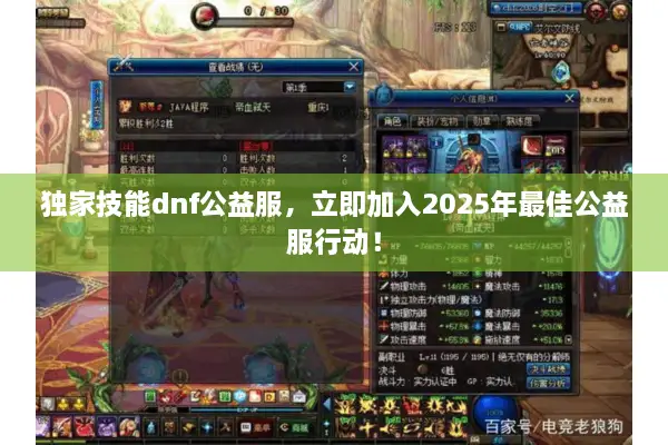 独家技能dnf公益服，立即加入2025年最佳公益服行动！