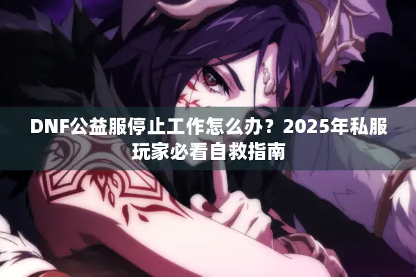 DNF公益服停止工作怎么办？2025年私服玩家必看自救指南