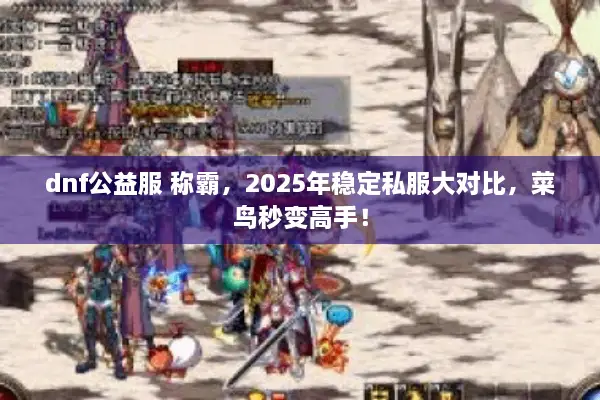 dnf公益服 称霸，2025年稳定私服大对比，菜鸟秒变高手！