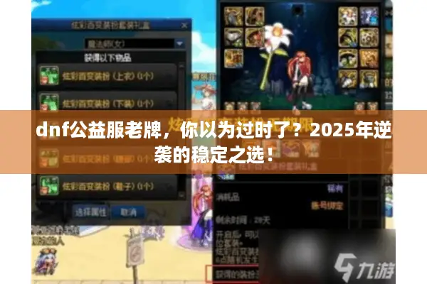 dnf公益服老牌，你以为过时了？2025年逆袭的稳定之选！