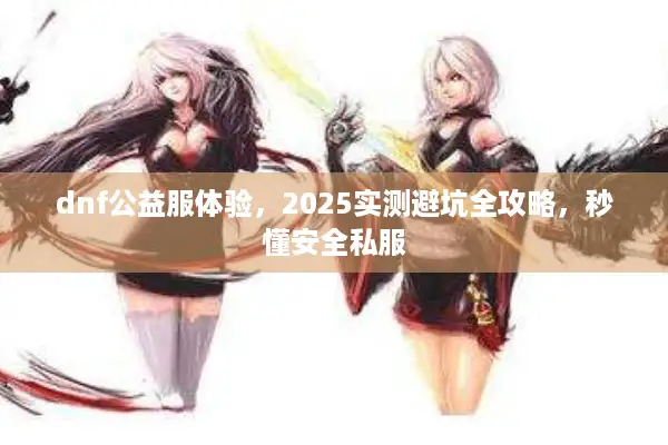 dnf公益服体验，2025实测避坑全攻略，秒懂安全私服
