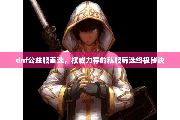 dnf公益服首选，权威力荐的私服筛选终极秘诀