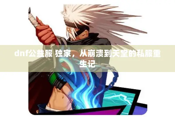 dnf公益服 独家，从崩溃到天堂的私服重生记