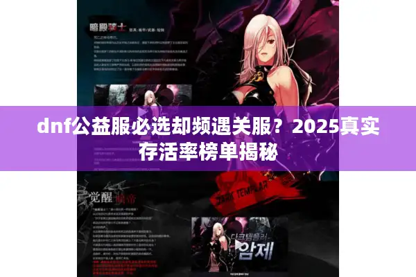 dnf公益服必选却频遇关服？2025真实存活率榜单揭秘