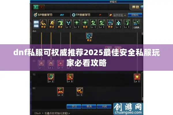 dnf私服可权威推荐2025最佳安全私服玩家必看攻略