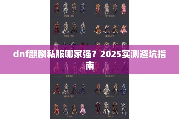 dnf麒麟私服哪家强？2025实测避坑指南