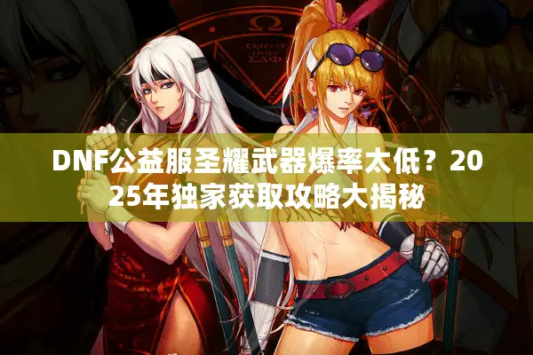 DNF公益服圣耀武器爆率太低？2025年独家获取攻略大揭秘