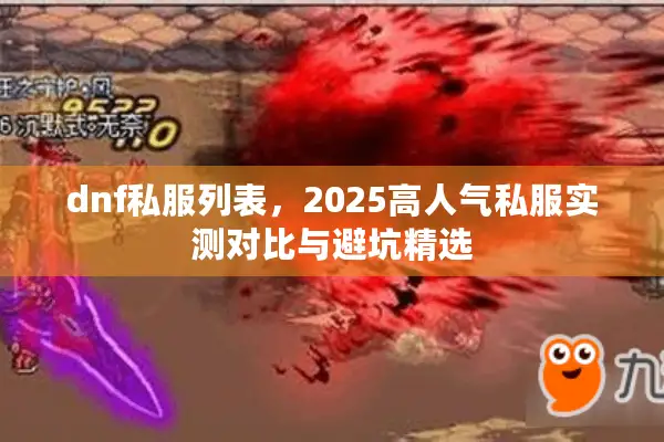 dnf私服列表，2025高人气私服实测对比与避坑精选