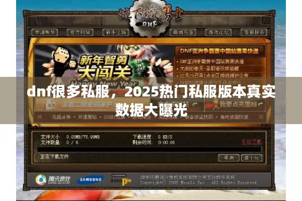 dnf很多私服，2025热门私服版本真实数据大曝光