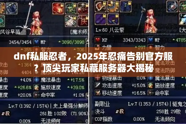 dnf私服忍者，2025年忍痛告别官方服？顶尖玩家私藏服务器大揭秘
